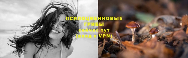 COCAINE Горняк
