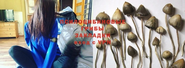 COCAINE Горняк