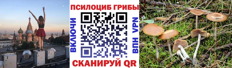OMG ТОР  сайты даркнета официальный сайт  Галлюциногенные грибы GOLDEN TEACHER  Завитинск 